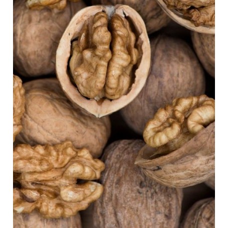 NOZ DE TRÁS-OS-MONTES (500g)